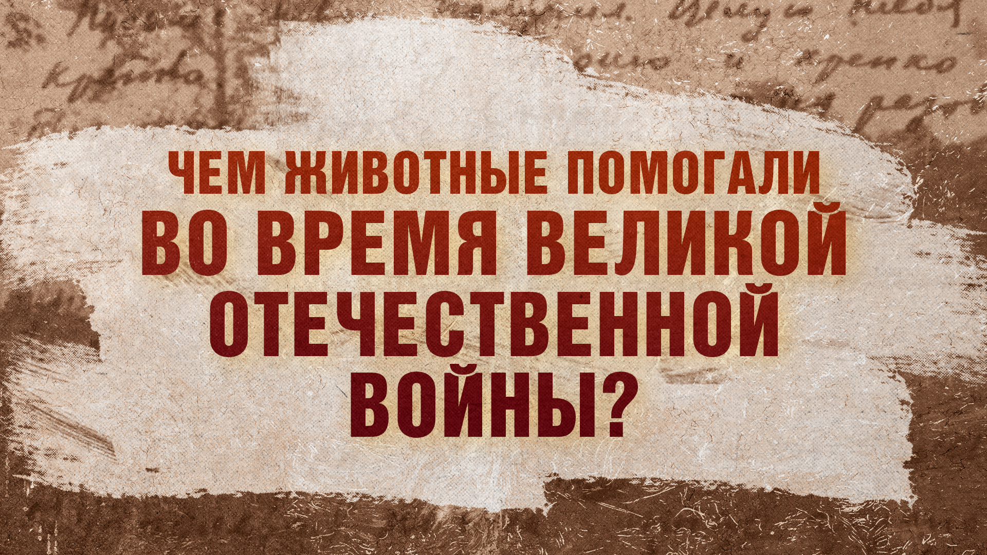 Чем животные помогали во время Великой Отечественной войны?